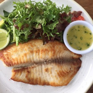 tilapia