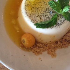 Panacotta