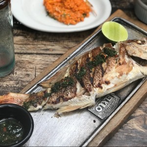 Pargo 