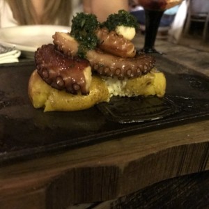 pulpo