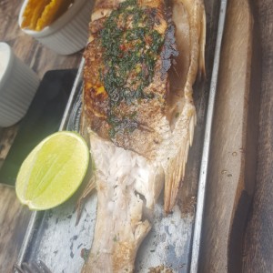 Pargo