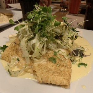Luz de selva pollo