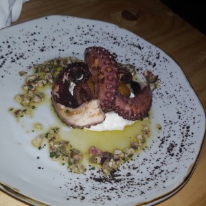 pulpo 