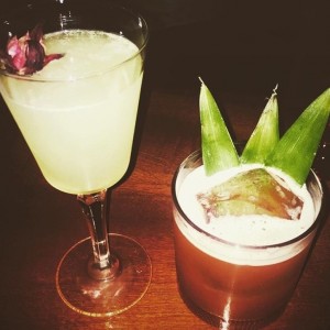 cocteles del dia