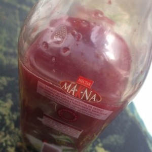 Nectar frutos rojos