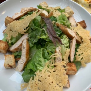 Cesar con pollo