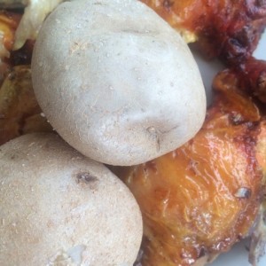 Pollo