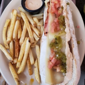 perro especial