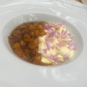 Burrata