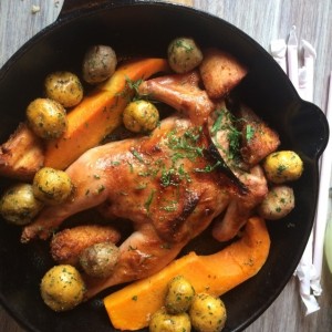 Pollo