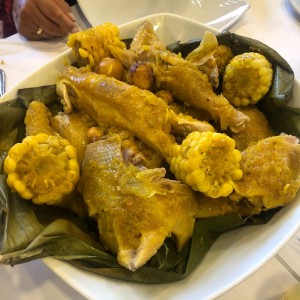 gallina criolla
