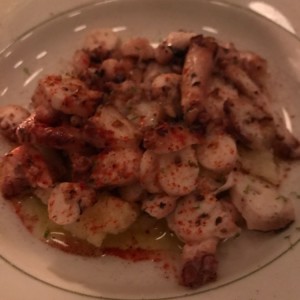 pulpo 