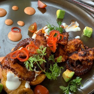 pulpo