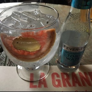 Gin Tonic (Poderoso)