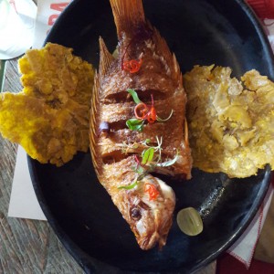 Mojarra