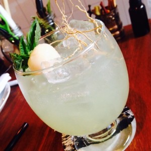 Cocktail de Gin
