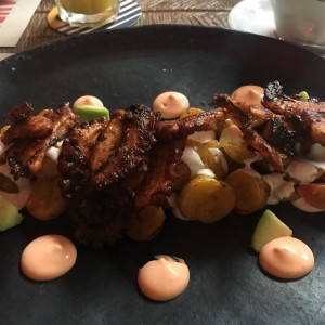 pulpo