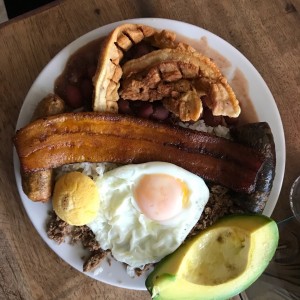 media bandeja