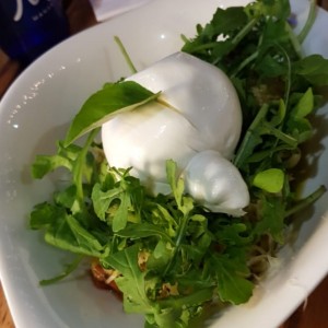 Burrata