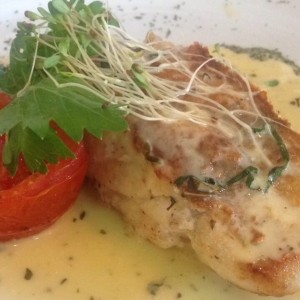 Corvina