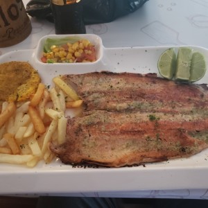 Trucha al ajillo