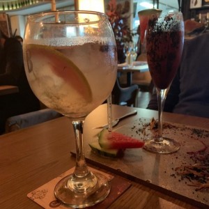 Gin Tonic a Nuestro Estilo y Demente