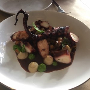 Pulpo