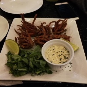 Calamares Apanados