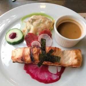 Salmon 