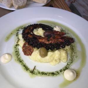 pulpo