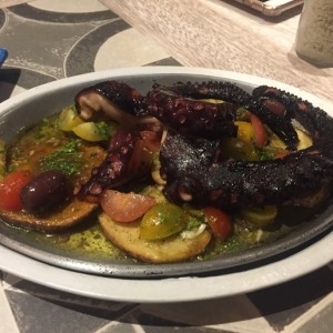 Pulpo