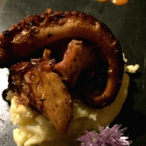 Pulpo