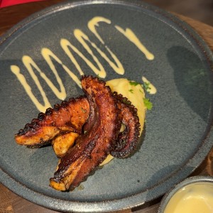 Pulpo