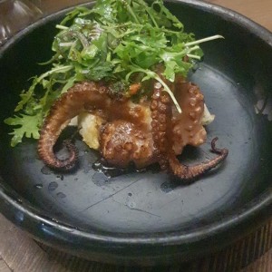 pulpo