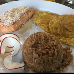 salmon encocado