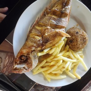 pargo rojo ?
