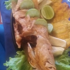 Pargo rojo