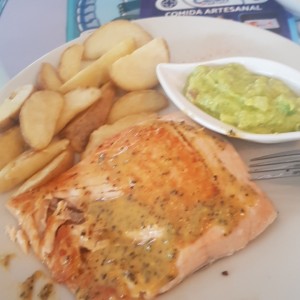 salmon