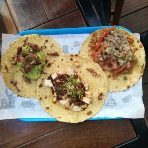 Variedad de tacos