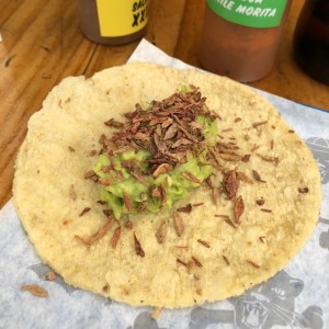 Taco de chapulines