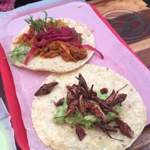 Taco Cochinita Pibil y Taco Chapulines