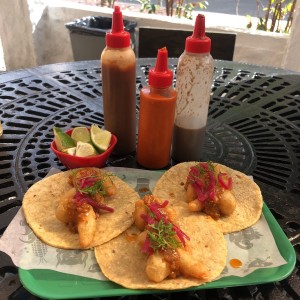 Tacos de Camaron