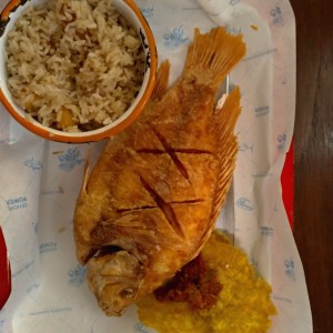 pescado playero