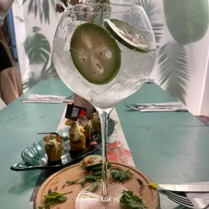gin tonic de la casa