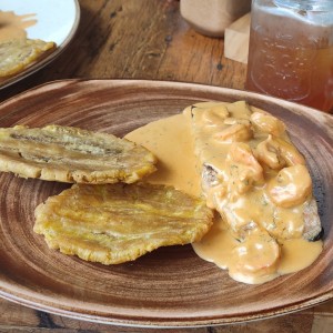Filete de salmón en salsa de camarones 