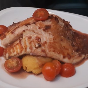 Tilapia