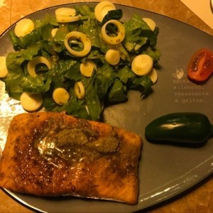 Salmon 