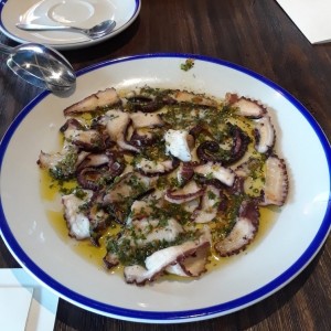 Pulpo
