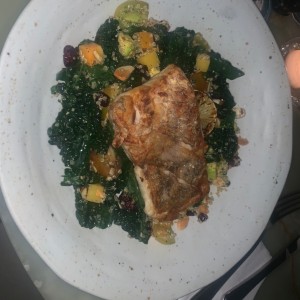Pesca del dia