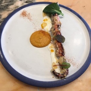 Pulpo
